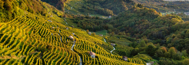 Prosecco patrimonio Unesco, arriva il primo ok dell'Icomos al Veneto Prosecco patrimonio Unesco, arriva il primo ok dell'Icomos al Veneto