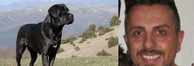 Sbranato a morte dal cane, un testimone: «Forse non è il suo ad averlo aggredito» Sbranato a morte dal cane, un testimone: «Forse non è il suo ad averlo aggredito»
