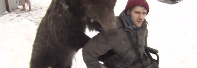 Russia, un orso sostiene il suo addestratore finito su una sedia a rotelle dopo un grave incidente Russia, un orso sostiene il suo addestratore finito su una sedia a rotelle dopo un grave incidente