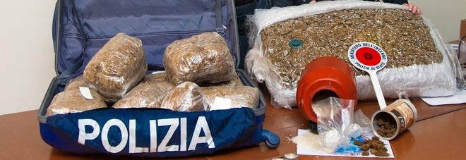 Cocaina e marijuana in
sottovuoto: in manette una donna Cocaina e marijuana in
sottovuoto: in manette una donna