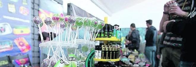 Cannabis Day, Cappato fermato dalla polizia: ha piantato semi sotto il Pirellone