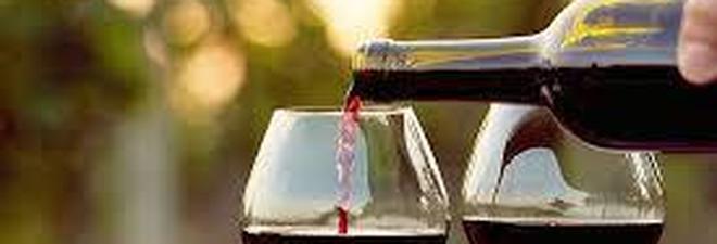 Vini bio, viticoltori veneti: «Migliori perchè ci divertiamo» Vini bio, viticoltori veneti: «Migliori perchè ci divertiamo»