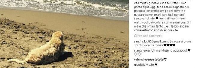 Antonella Clerici, morto il cane Oliver. Il post d'addio: Antonella Clerici, morto il cane Oliver. Il post d'addio:
