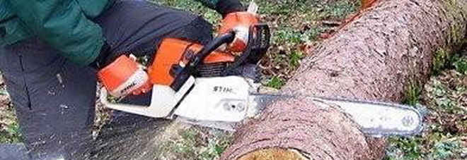 Si taglia il braccio con la motosega mentre fa legna: grave boscaiolo Si taglia il braccio con la motosega mentre fa legna: grave boscaiolo