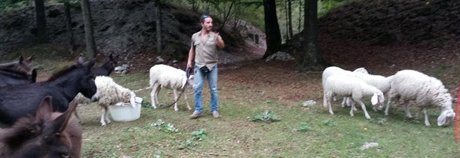 Gianni Rainone con i suoi amati animali a Passo Tanamea, in Alta Val Torre Gianni Rainone con i suoi amati animali a Passo Tanamea, in Alta Val Torre