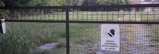 Rive minacciate da una giungla: l'ex Dogana sprofonda nel degrado /Foto Rive minacciate da una giungla: l'ex Dogana sprofonda nel degrado /Foto
