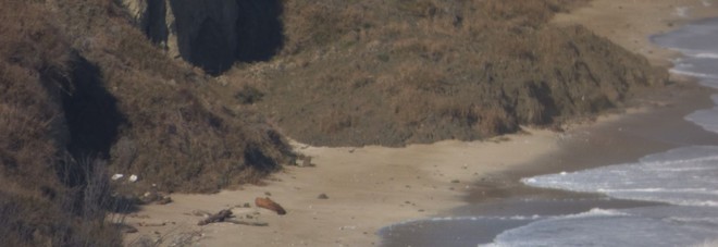 Motivi di sicurezza, chiusa
fino al prossimo 28 aprile
la spiaggia di Mezzavalle