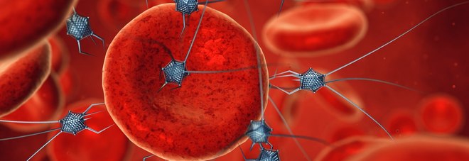 Cancro, i nanorobot fatti di Dna uccidono 4 tipi di tumore: verso una cura rivoluzionaria? Cancro, i nanorobot fatti di Dna uccidono 4 tipi di tumore: verso una cura rivoluzionaria?