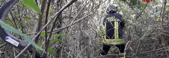 Nana bloccata nel roveto
I vigili del fuoco
riescono a liberarla