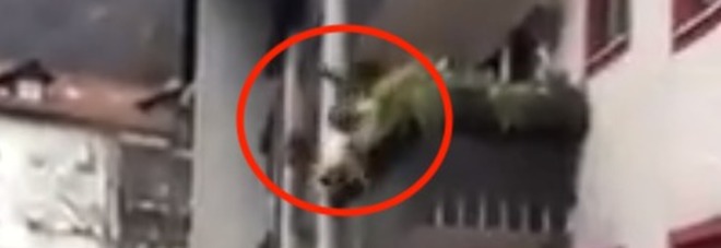 Litiga con un uomo in strada e cade dal balcone: 40enne si frattura il bacino Litiga con un uomo in strada e cade dal balcone: 40enne si frattura il bacino
