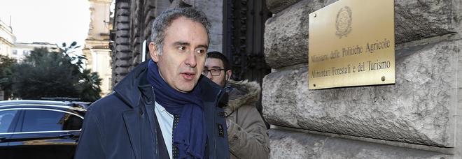 L'assessore Di Gioia si dimette e attacca: «Messo sullo sfondo da Emiliano» L'assessore Di Gioia si dimette e attacca: «Messo sullo sfondo da Emiliano»