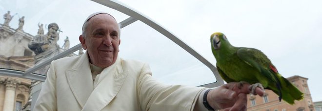 Papa Francesco Papa Francesco