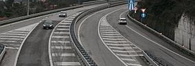Vigili del fuoco salvano
cagnolini finiti nel mezzo
del raccordo autostradale
