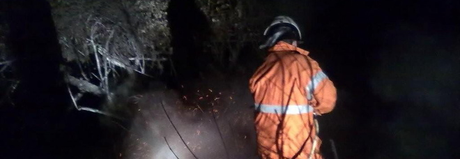 Boschi a fuoco, pattugliamenti nella notte a caccia del piromane Boschi a fuoco, pattugliamenti nella notte a caccia del piromane