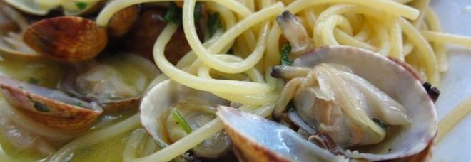 Vongole illegali, maxi sequestro in Adriatico: è allarme cenone