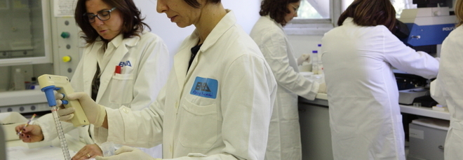 la ricercatrice Patrizia Paganin al lavoro in laboratorio