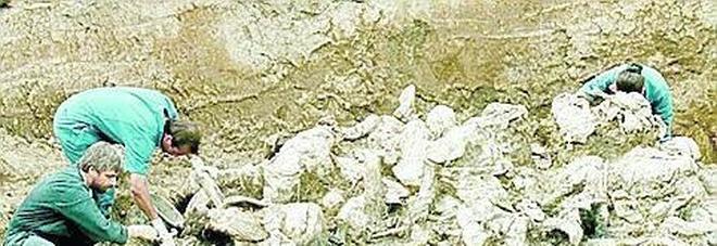 Il boia Mladic, giustizia è fatta Il boia Mladic, giustizia è fatta