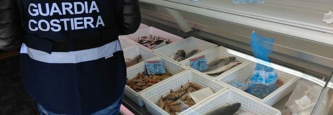 Settecento chili di pesce
sequestrati e sanzioni
per oltre 13mila euro