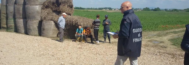 Caporalato e sfruttamento della manodopera, 59 indagati Caporalato e sfruttamento della manodopera, 59 indagati