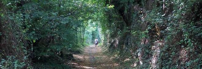 "Salviamo il sentiero del Brenta", aperta la petizione: no all'asfalto