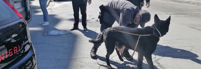Spaccio, ambulanti abusivi
e merce contraffatta: blitz
della Finanza con i cani