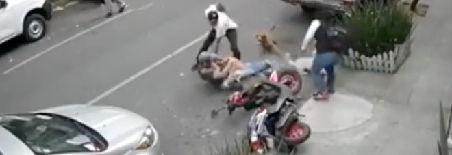 Lotta con un pitbull per salvare il suo cane: poi aggredisce il padrone /Il video choc