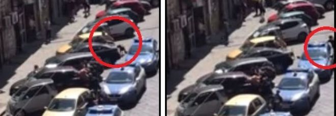 Pitbull aizzato morde poliziotto in strada, un altro agente spara e lo uccide
