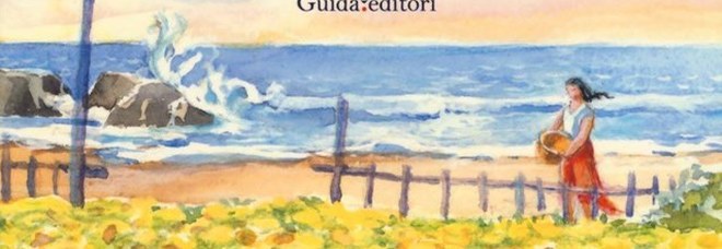Libro Libro