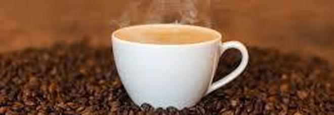 Due caffè al giorno sono la cura per la malattia rara di un bambino di 11 anni Due caffè al giorno sono la cura per la malattia rara di un bambino di 11 anni