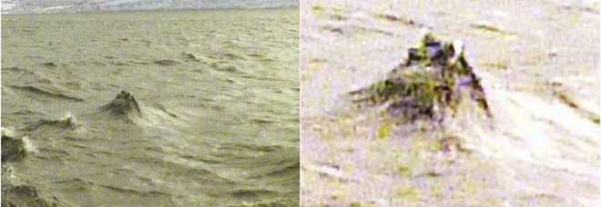 Il mostro di Loch Ness, l'ultimo avvistamento
di Nessie. Esiste davvero?