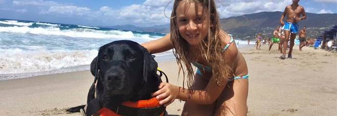 Tragedia sfiorata in mare, cane eroe salva bimba di 8 anni travolta da un'onda Tragedia sfiorata in mare, cane eroe salva bimba di 8 anni travolta da un'onda