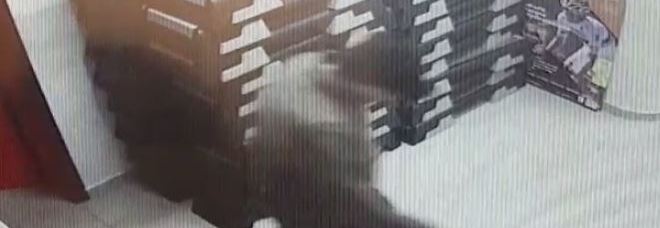 Blitz notturno in palestra:
​i ladri ripresi
dalle videocamere