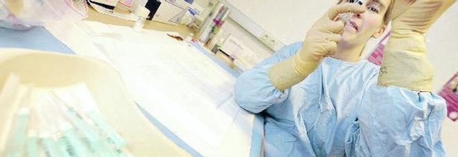 Malattia di Lyme, è allarme: centinaia di casi, colpisce cervello e articolazioni