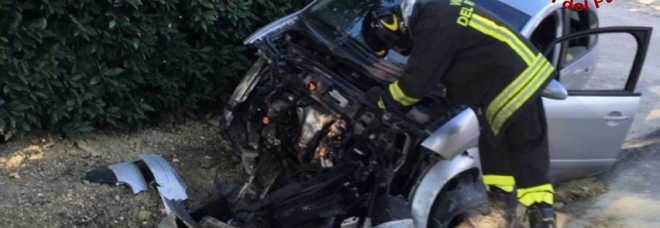 Punta da un insetto alla guida
la donna sbanda per la paura
e resta intrappolata nell'auto