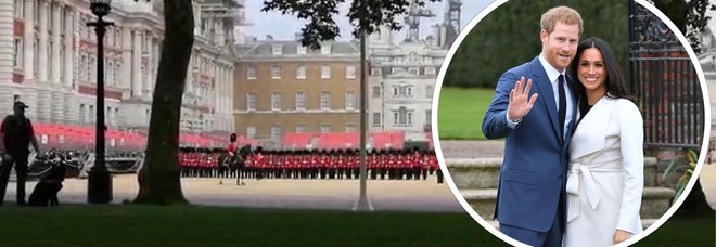 Royal Wedding, conto
alla rovescia per le nozze
tra Harry e Meghan