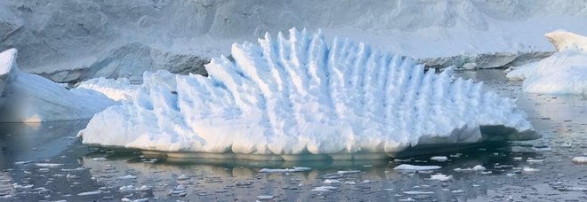L'Antartide si scioglie e fa crescere il livello dei mari: 8 millimetri in 25 anni L'Antartide si scioglie e fa crescere il livello dei mari: 8 millimetri in 25 anni