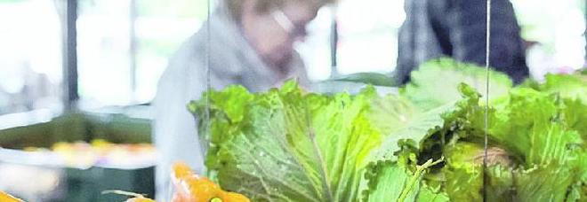 AGRICOLTURA UDINE Il Friuli Venezia Giulia scala di nove posizioni la classifica AGRICOLTURA UDINE Il Friuli Venezia Giulia scala di nove posizioni la classifica