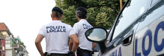 Romeno di 44 anni con 307 auto ​intestate, ma lui è senza patente Romeno di 44 anni con 307 auto ​intestate, ma lui è senza patente