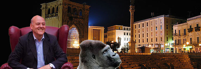 Thriller nella movida: un gorilla a Lecce e il giallo è servito Thriller nella movida: un gorilla a Lecce e il giallo è servito