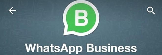 WhatsApp Business, ecco la nuova app (gratuita) per le imprese WhatsApp Business, ecco la nuova app (gratuita) per le imprese