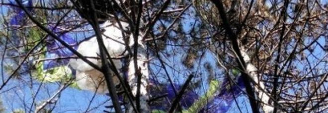 Si libra in volo col parapendio e si schianta: grave 20enne Si libra in volo col parapendio e si schianta: grave 20enne