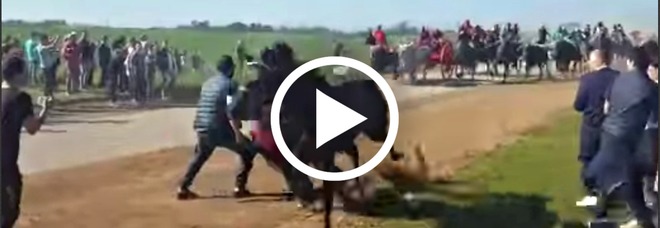 Cavallo travolge e uccide uno spettatore, choc alla «Cavalcata dei buoi» di Chieuti (Facebook) Cavallo travolge e uccide uno spettatore, choc alla «Cavalcata dei buoi» di Chieuti (Facebook)