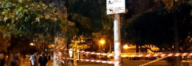 Il palo diventato conduttore elettrico Il palo diventato conduttore elettrico