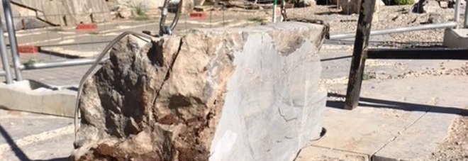 Il blocco di roccia che contiene il cranio del dinosauro Bruno Il blocco di roccia che contiene il cranio del dinosauro Bruno