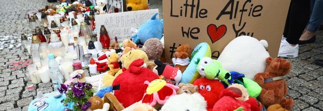 Peluche per Alfie Peluche per Alfie