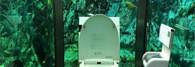 La toilette? Dentro un acquario. E il locale giapponese fa il pieno di turisti