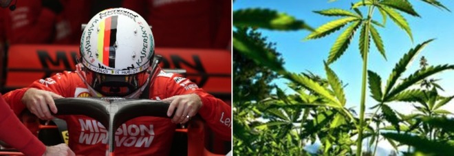 Vettel choc al Gp di Austin: «Odore di marijuana sul circuito, è una follia!» Vettel choc al Gp di Austin: «Odore di marijuana sul circuito, è una follia!»
