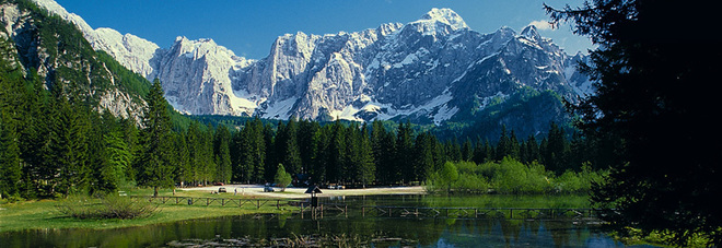 La foresta millenaria di Tarvisio