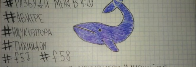 Il 'Blue Whale'? Una mezza bufala. "Soltanto psicosi. Un solo caso accertato"