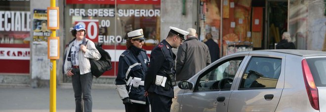 DIPIAZZA DIPIAZZA